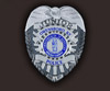 junior police badges
