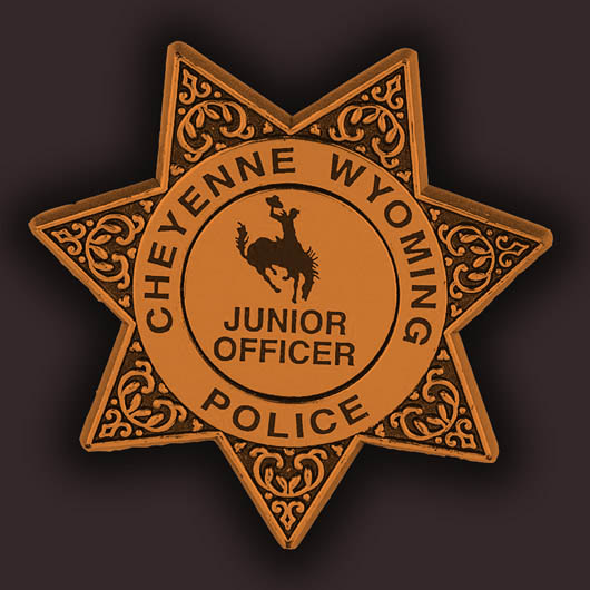 Lone Star plastic badge